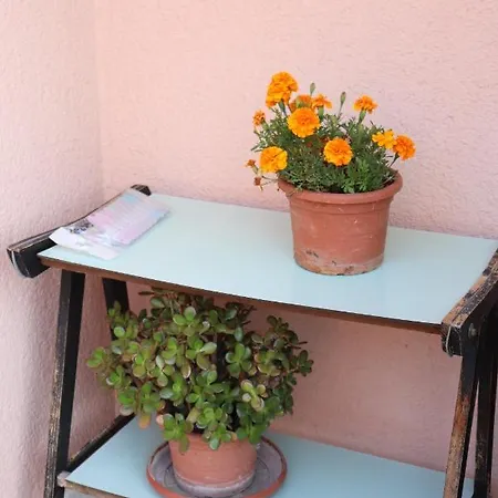 Aleta Apartment *
