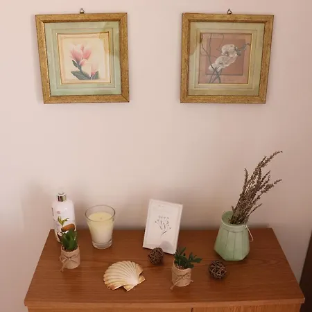 Apartment Aleta